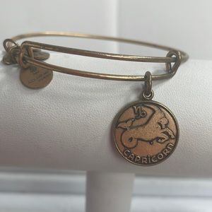 Alex and Ani Capricorn Bracelet